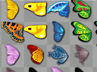 Kyodai- Schmetterlinge